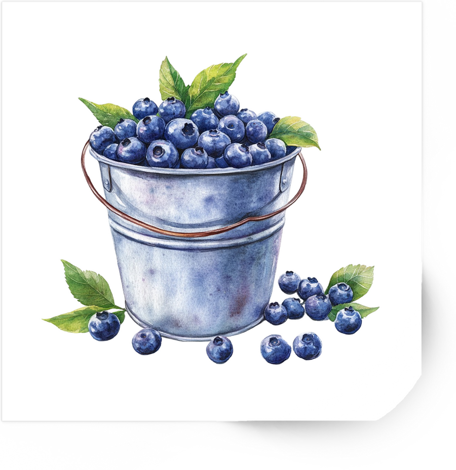 Blueberry Bucket Sticker | Watercolor Berry Vinyl Decal | Farmhouse Kitchen Gift
